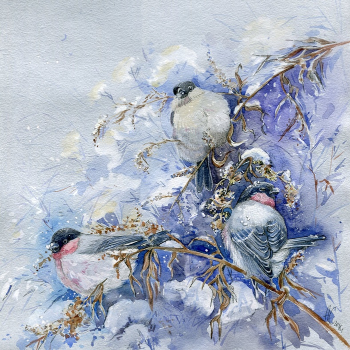 Уссурийские снегири