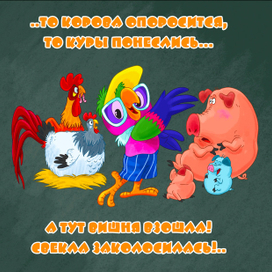 попугай Кеша