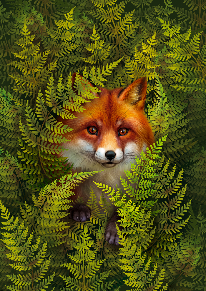 Тетрадная обложка Лиса