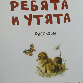 Книга с моими иллюстрациями 