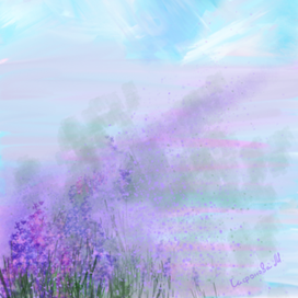 Лавандовая тропа 