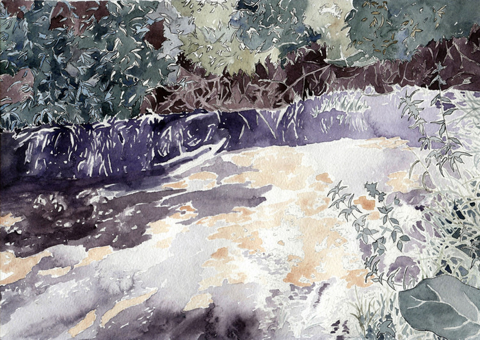 Знойные отражения в летней прохладе.