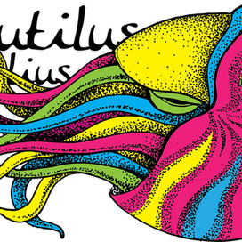 Nautilus
