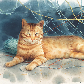 Запутанная история