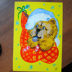 Чау-чау-подарок