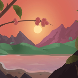 Landscape
