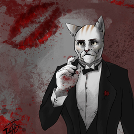 Хуманизация кота