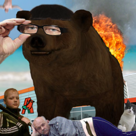 Bear_Memes