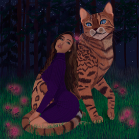 Сказочная ночь