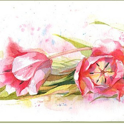 Три тюльпана