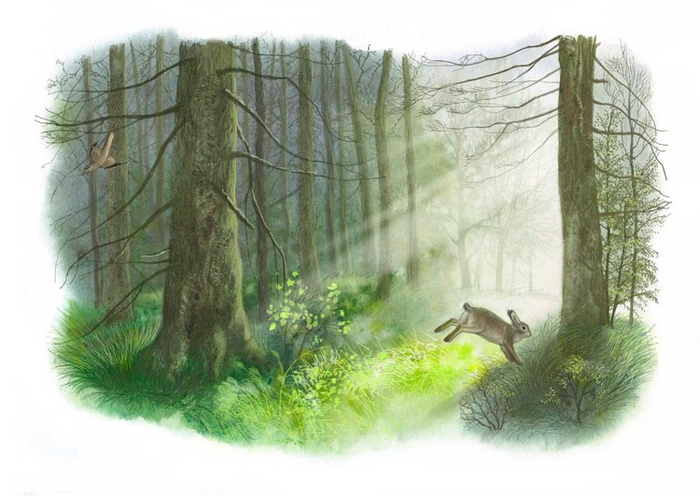 Раннее, очень раннее утро