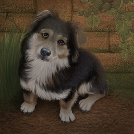 Просто собачка