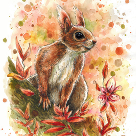 Рыжая красавица