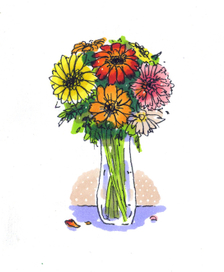 gerbera