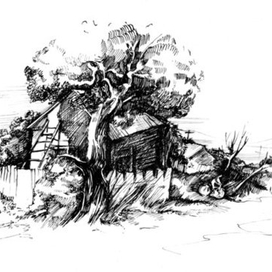 дачная местность