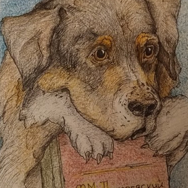 Размышления о прочитанном