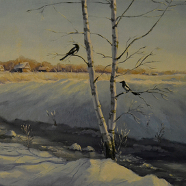 Сороки на берёзе