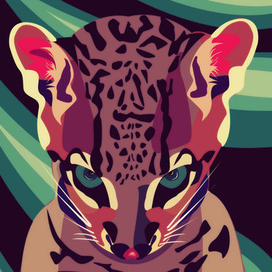 Ocelot