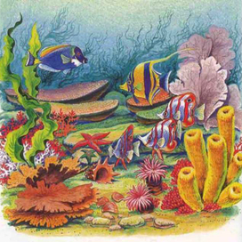 Иллюстрация