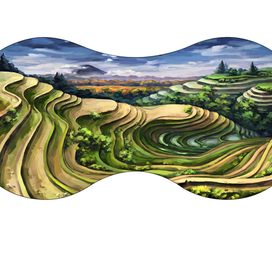 Рисовые поля