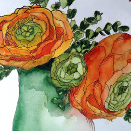 Азиатские лютики