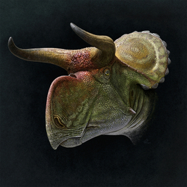 Nasutoceratops