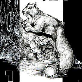 Вокруг дуба