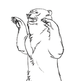 медведь скетч