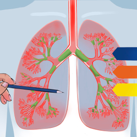 Раскадровки 2