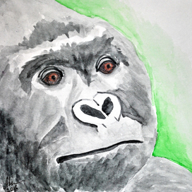 Горная горилла