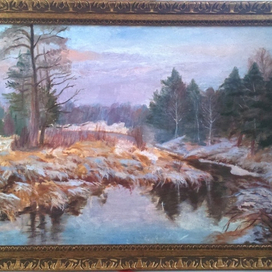 Лес в Лугинах, Житомирская область