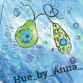 Хламидомонада и эвглена