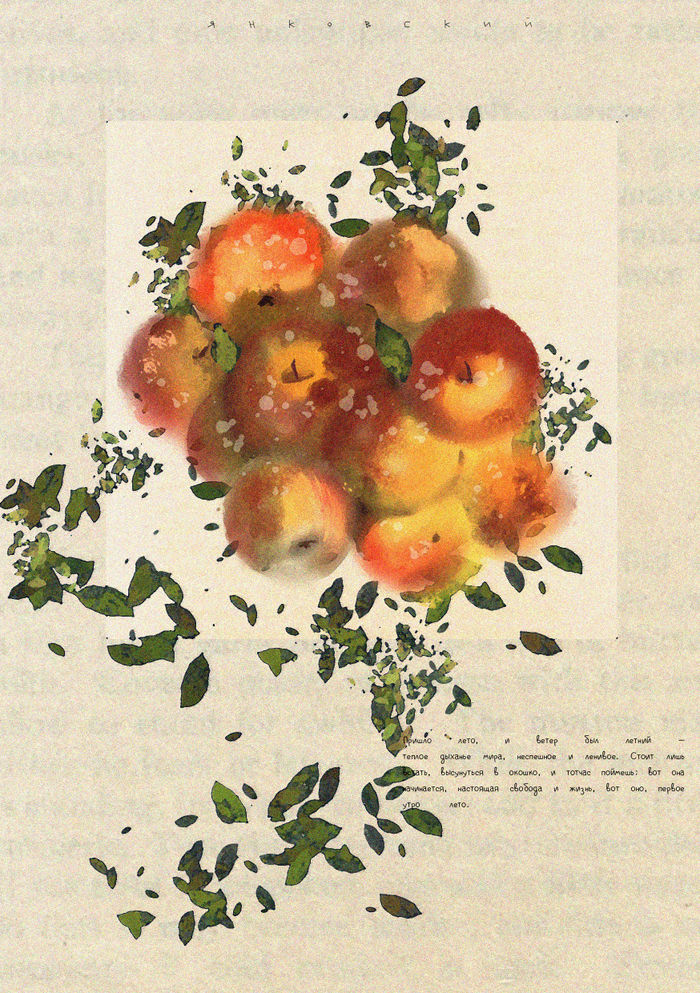 летние яблоки