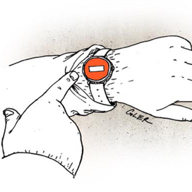 Время принимать решение.