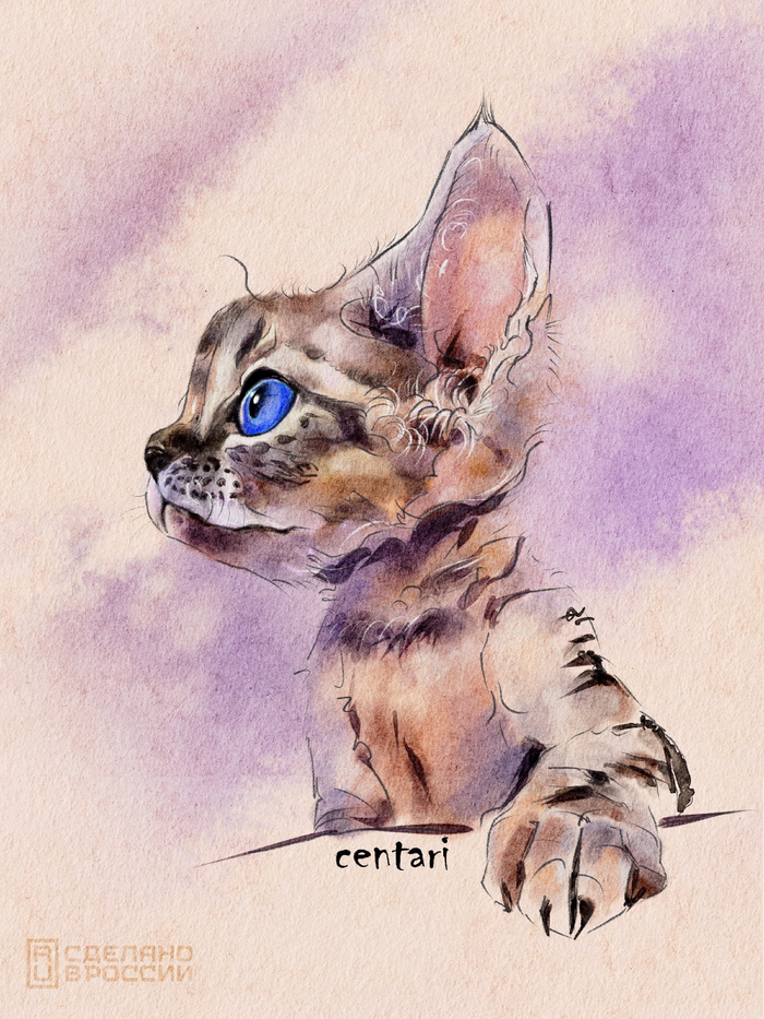 Кот худоват