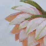 С праздником дорогие, Выдр!!