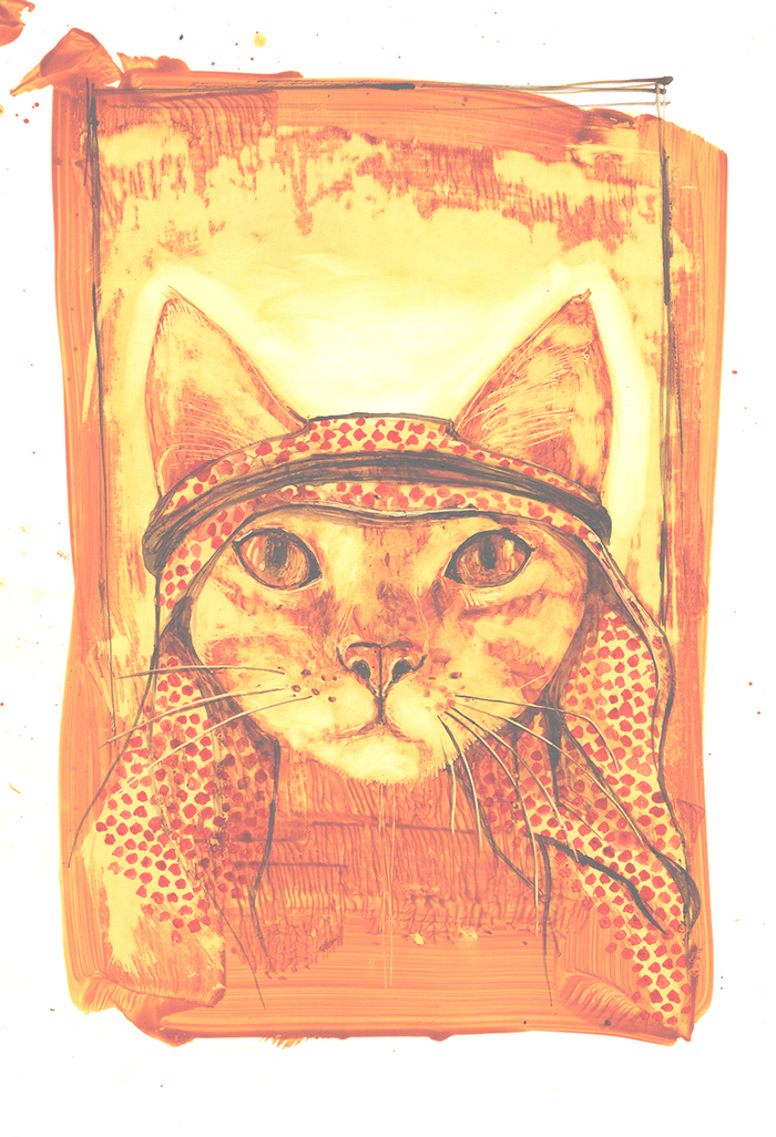 Аравийкий мау