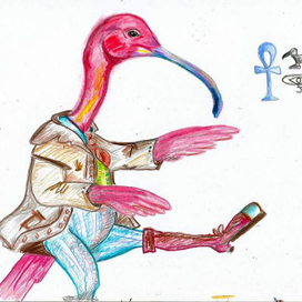 танцующий ибис