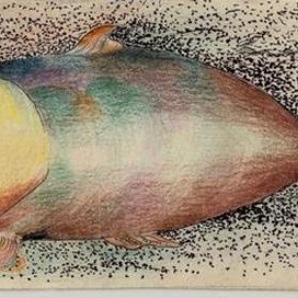 рыба мечтатель