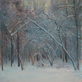 Зимний лес. Пасмурно