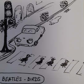 Птичий Beatles 