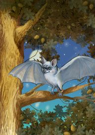 Мышь на дубе