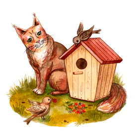  Кот Ирисик в гостях у птичек