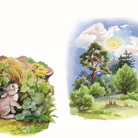 Зайчонок и солнышко