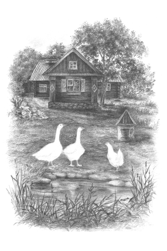 Деревня,лето,встреча у воды