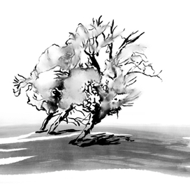 Деревья в пустыне