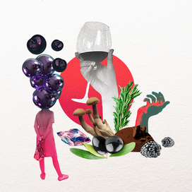 Сира вино коллаж