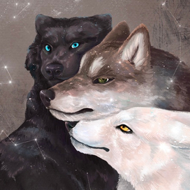 Волки и руны – Wolves and runes