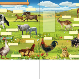 Мир который я люблю