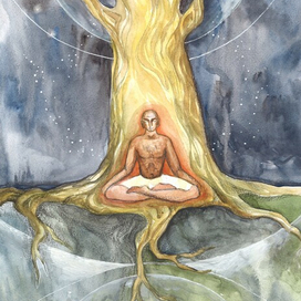 Дерево Бодхи